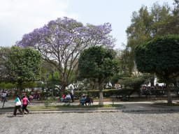 QueenVictoria2015-067